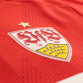 VfB Stuttgart fuera de casa 24/25