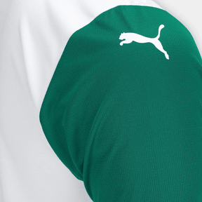 Palmeiras away 25/26 - All Sponsors